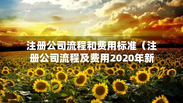 注冊公司流程和費用標準（注冊公司流程及費用2020年新政策）