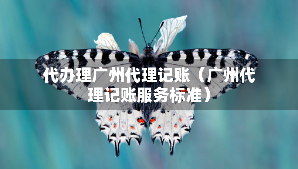 代辦理廣州代理記賬（廣州代理記賬服務(wù)標(biāo)準(zhǔn)）