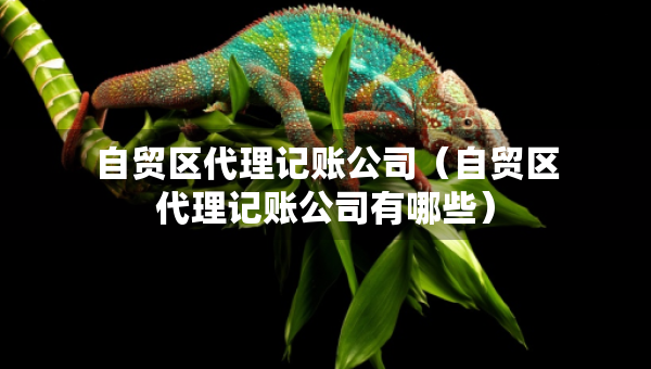 自貿(mào)區(qū)代理記賬公司（自貿(mào)區(qū)代理記賬公司有哪些）