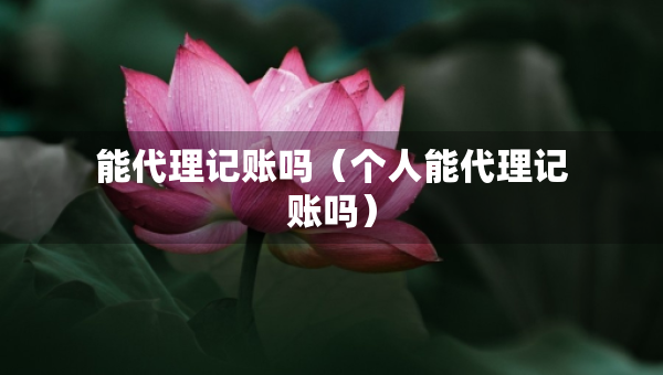 能代理記賬嗎（個人能代理記賬嗎）