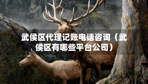武侯區(qū)代理記賬電話咨詢（武侯區(qū)有哪些平臺公司）