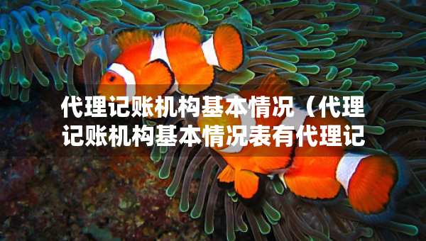 代理記賬機構(gòu)基本情況（代理記賬機構(gòu)基本情況表有代理記賬機構(gòu)總部）