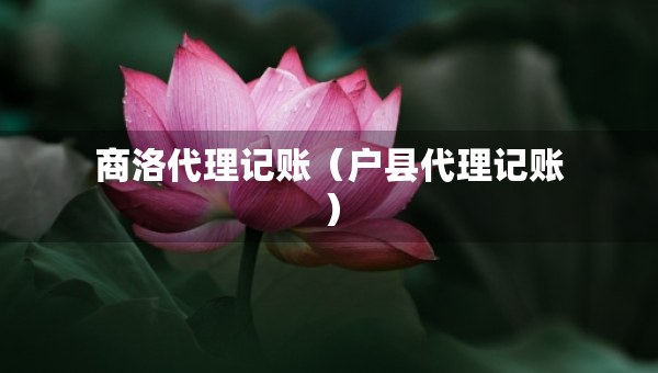 商洛代理記賬（戶縣代理記賬）