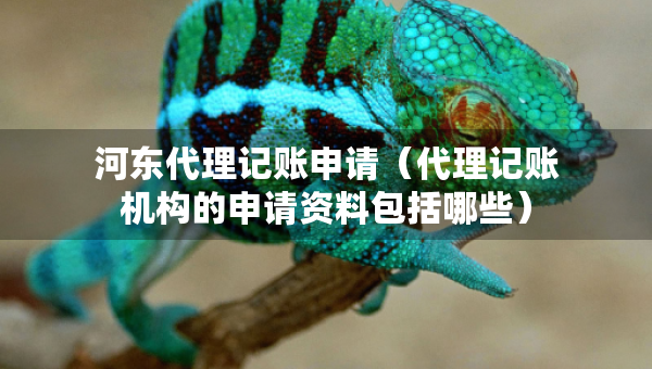 河東代理記賬申請（代理記賬機構的申請資料包括哪些）