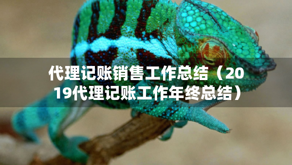 代理記賬銷(xiāo)售工作總結(jié)（2019代理記賬工作年終總結(jié)）