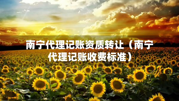 南寧代理記賬資質(zhì)轉(zhuǎn)讓?zhuān)蠈幋碛涃~收費(fèi)標(biāo)準(zhǔn)）
