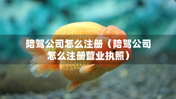 陪駕公司怎么注冊（陪駕公司怎么注冊營業(yè)執(zhí)照）
