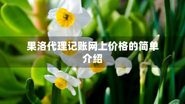 果洛代理記賬網(wǎng)上價格的簡單介紹