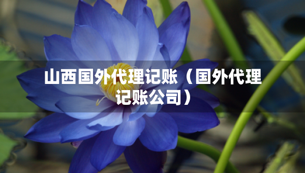 山西國外代理記賬（國外代理記賬公司）