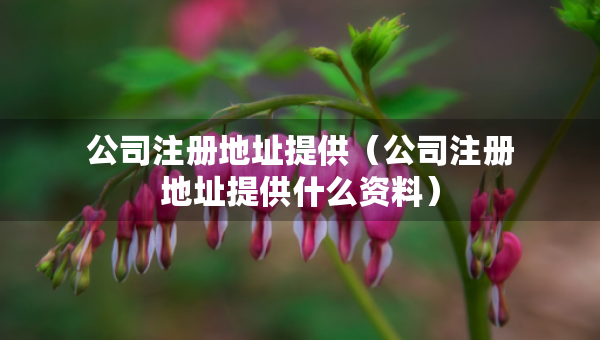 公司注冊地址提供（公司注冊地址提供什么資料）