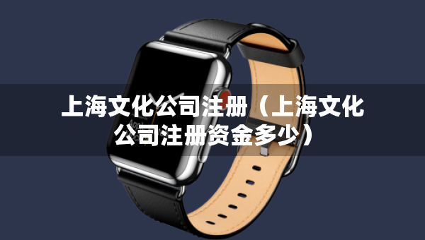 上海文化公司注冊(cè)（上海文化公司注冊(cè)資金多少）