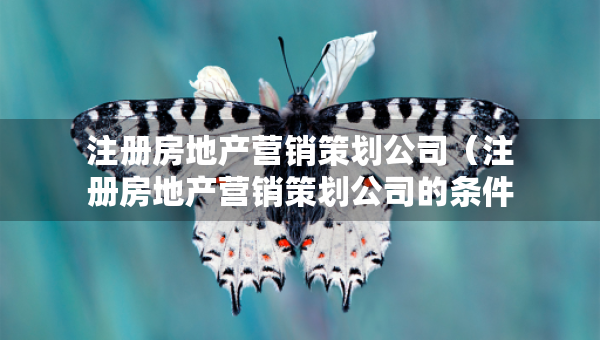 注冊房地產(chǎn)營銷策劃公司（注冊房地產(chǎn)營銷策劃公司的條件）