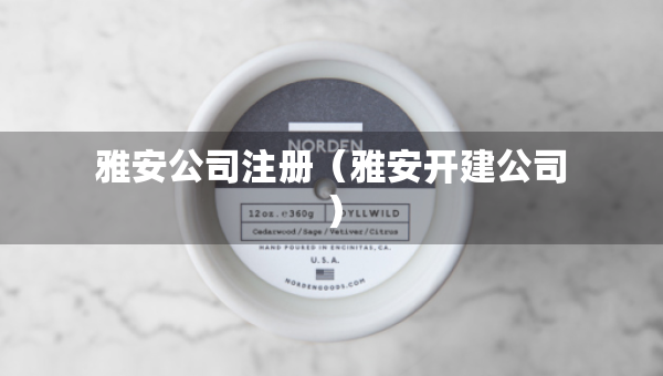 雅安公司注冊（雅安開建公司）