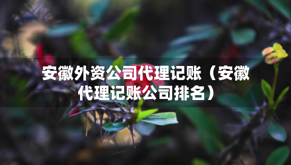安徽外資公司代理記賬（安徽代理記賬公司排名）