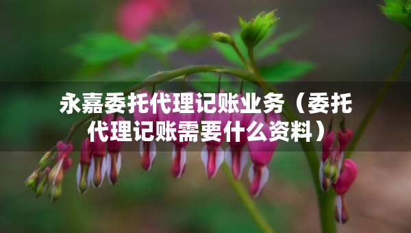 永嘉委托代理記賬業(yè)務(wù)（委托代理記賬需要什么資料）