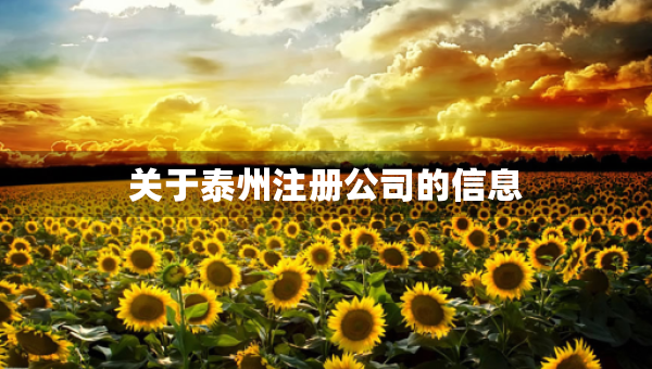關(guān)于泰州注冊(cè)公司的信息
