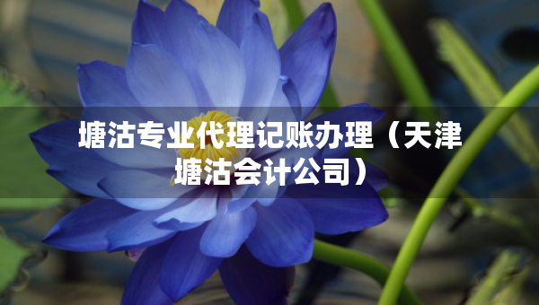 塘沽專業(yè)代理記賬辦理（天津塘沽?xí)嫻荆? title=