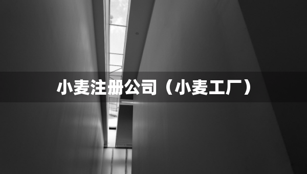 小麥注冊(cè)公司（小麥工廠）