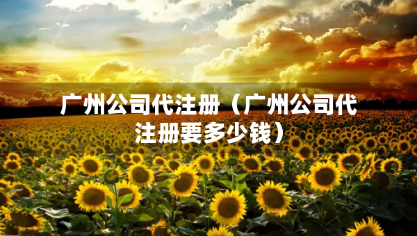 廣州公司代注冊(cè)（廣州公司代注冊(cè)要多少錢）