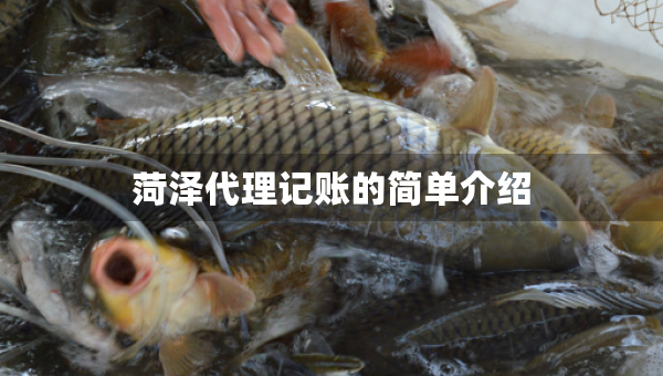 菏澤代理記賬的簡單介紹