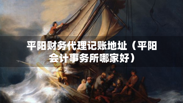 平陽(yáng)財(cái)務(wù)代理記賬地址（平陽(yáng)會(huì)計(jì)事務(wù)所哪家好）