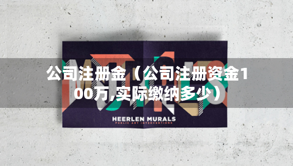 公司注冊(cè)金（公司注冊(cè)資金100萬(wàn),實(shí)際繳納多少）