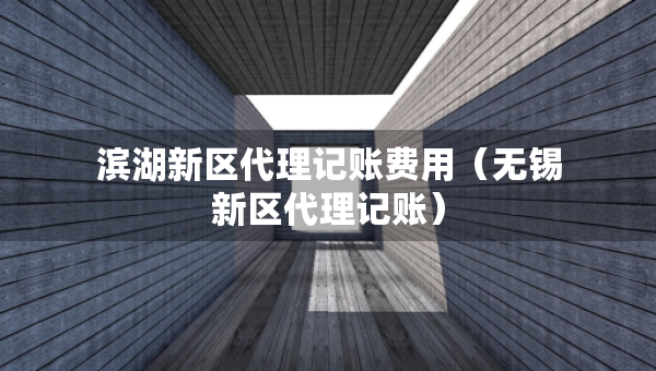 濱湖新區(qū)代理記賬費用（無錫新區(qū)代理記賬）
