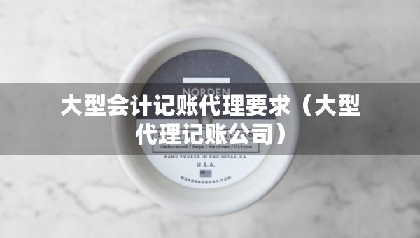 大型會計記賬代理要求（大型代理記賬公司）