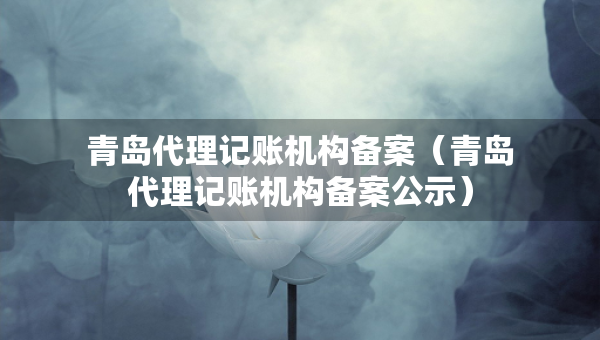 青島代理記賬機構(gòu)備案（青島代理記賬機構(gòu)備案公示）