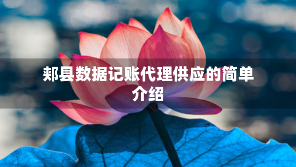 郟縣數(shù)據(jù)記賬代理供應的簡單介紹