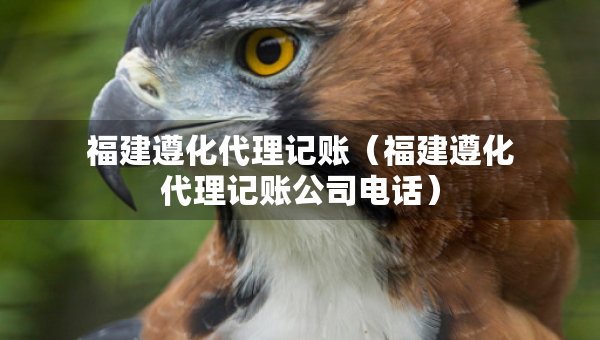 福建遵化代理記賬（福建遵化代理記賬公司電話）