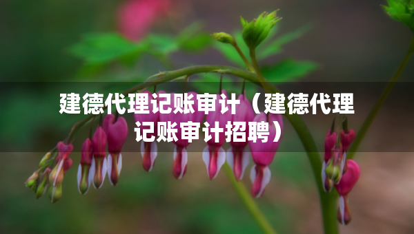 建德代理記賬審計(jì)（建德代理記賬審計(jì)招聘）