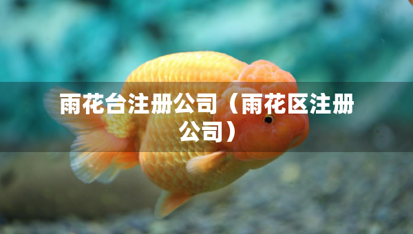 雨花臺(tái)注冊(cè)公司（雨花區(qū)注冊(cè)公司）