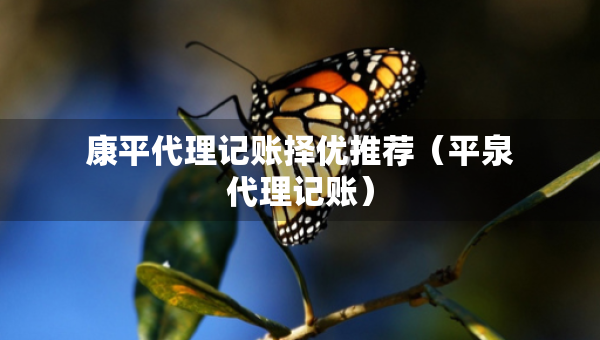 康平代理記賬擇優(yōu)推薦（平泉代理記賬）