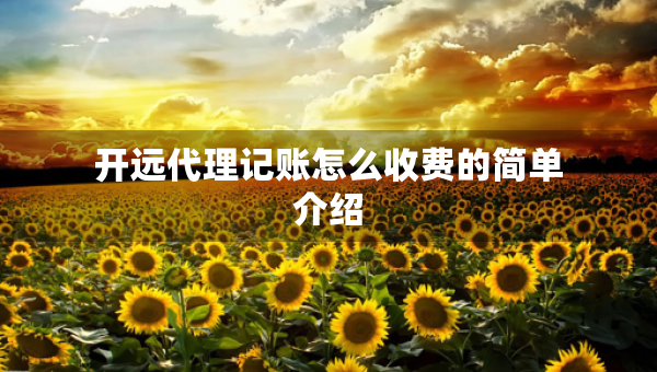 開遠代理記賬怎么收費的簡單介紹