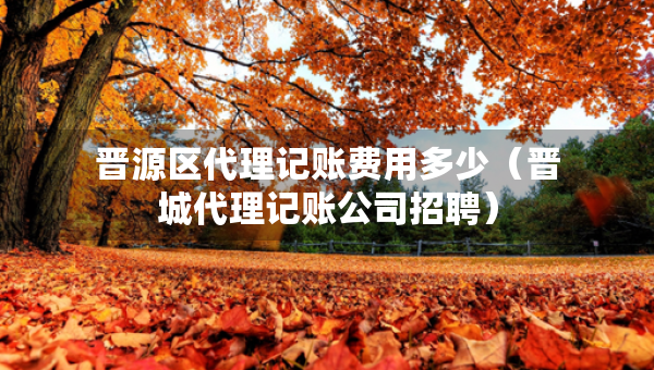 晉源區(qū)代理記賬費(fèi)用多少（晉城代理記賬公司招聘）