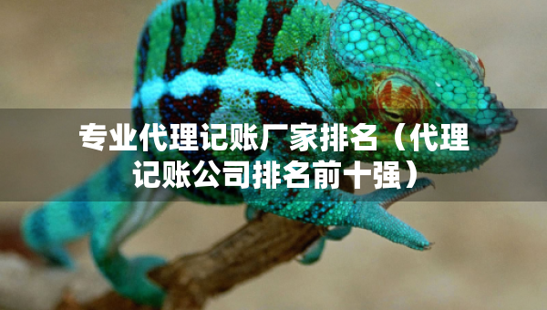 專業(yè)代理記賬廠家排名（代理記賬公司排名前十強(qiáng)）