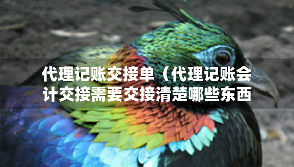 代理記賬交接單（代理記賬會(huì)計(jì)交接需要交接清楚哪些東西）