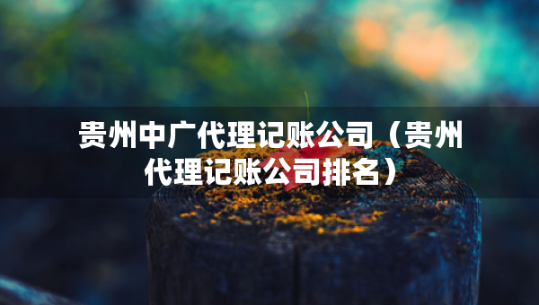 貴州中廣代理記賬公司（貴州代理記賬公司排名）