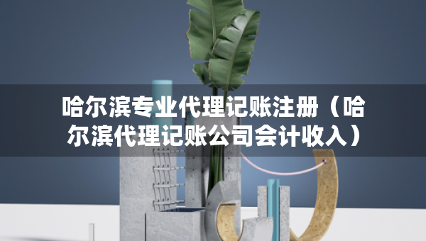 哈爾濱專業(yè)代理記賬注冊（哈爾濱代理記賬公司會計收入）