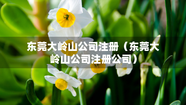 東莞大嶺山公司注冊（東莞大嶺山公司注冊公司）