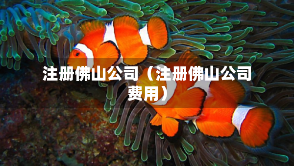 注冊佛山公司（注冊佛山公司費(fèi)用）