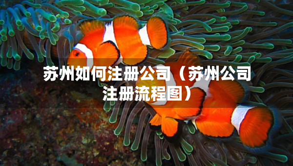 蘇州如何注冊公司（蘇州公司注冊流程圖）