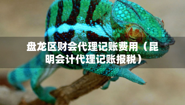 盤龍區(qū)財會代理記賬費用（昆明會計代理記賬報稅）