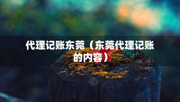 代理記賬東莞（東莞代理記賬的內容）
