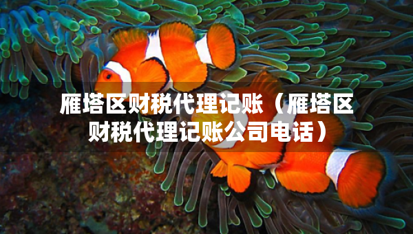 雁塔區(qū)財稅代理記賬（雁塔區(qū)財稅代理記賬公司電話）