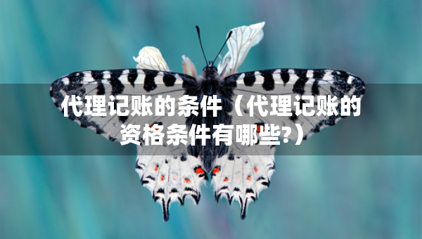 代理記賬的條件（代理記賬的資格條件有哪些?）