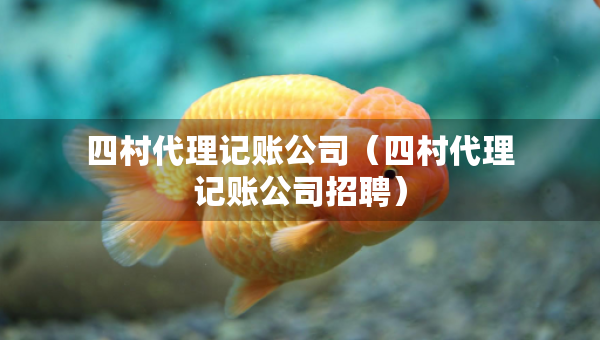 四村代理記賬公司（四村代理記賬公司招聘）