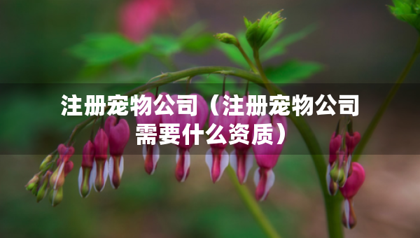注冊(cè)寵物公司（注冊(cè)寵物公司需要什么資質(zhì)）