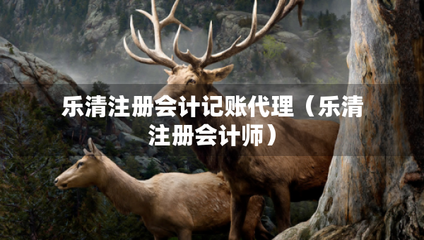 樂清注冊會計記賬代理（樂清注冊會計師）